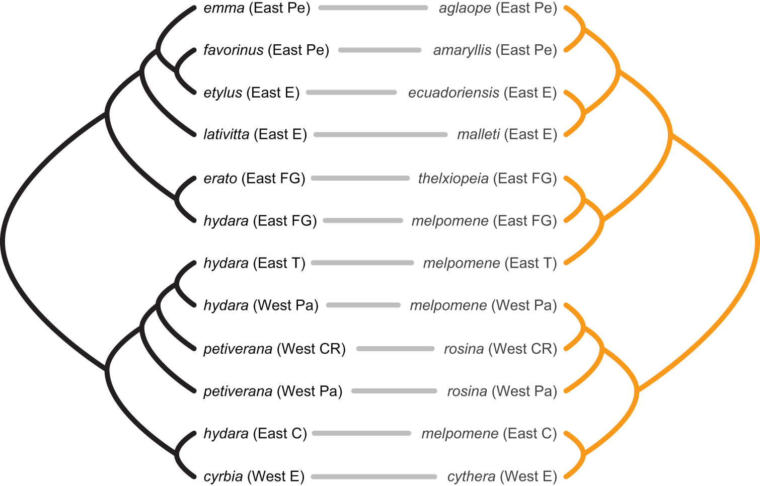 a perfect cophylogeny